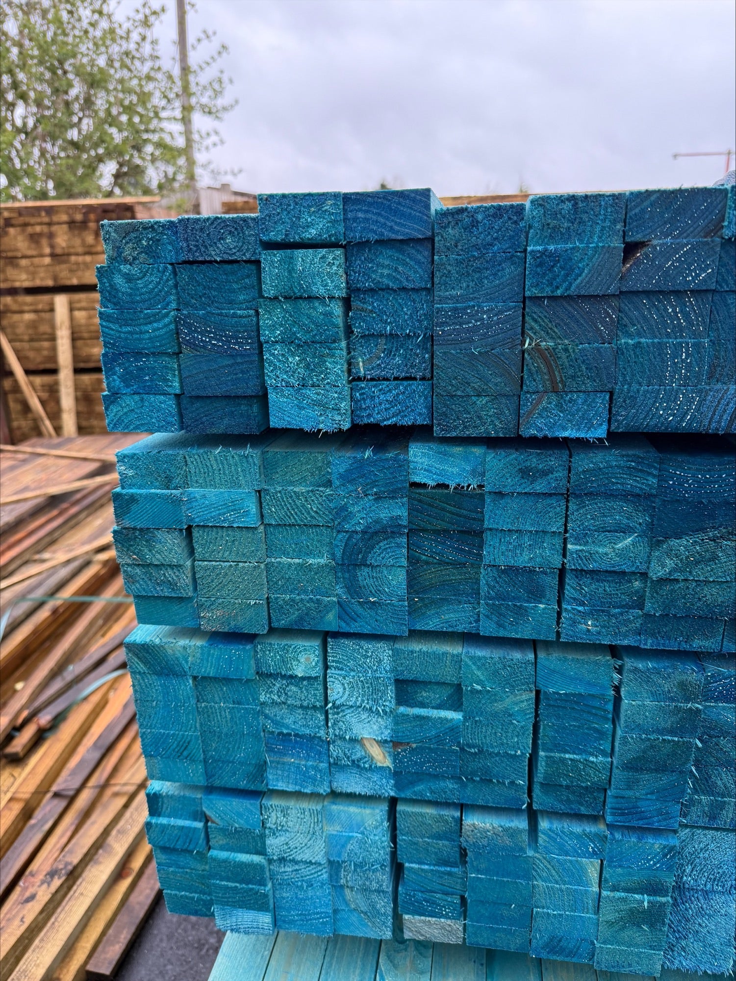 BLUE 25x50x4800 Batten BS5534 ( 2" x 1" )