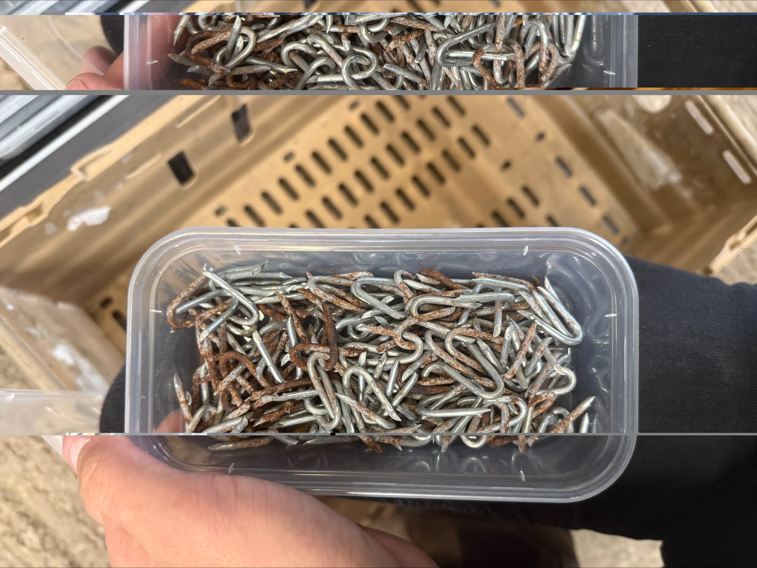25mm Galv Staples 0.5kg Pack RUSTY CHEAP!