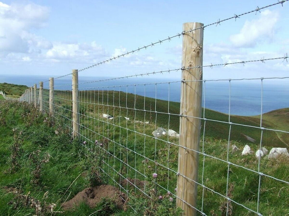 Tornado Wire - C8/80/15 Stock Fence 50m/100m